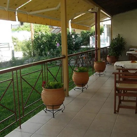 Rodavgi 3*